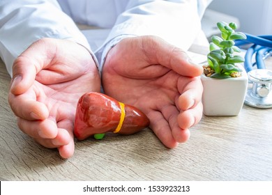 Protection, treatment, prevention and patronage health in gastroenterology in liver health against diseases, pathologies concept photo. Doctor surrounded liver shape with hands on desk