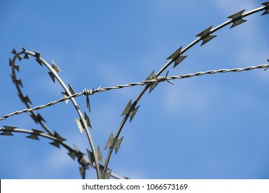 Protective Coils Sharp Barbed Razor Wire Stock Photo 1066573169 ...
