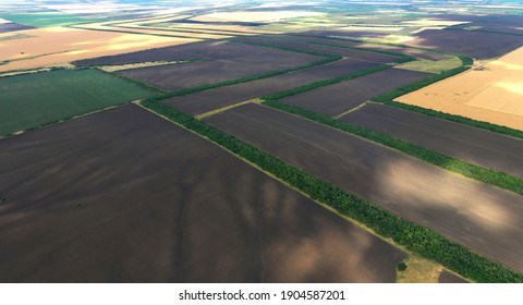 Protective forest belt planted according to the project of Stalin - Shutterstock ID 1904587201
