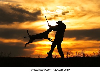 Protective section with a dog, a dog attacks a helper against a sunset background	
 - Powered by Shutterstock