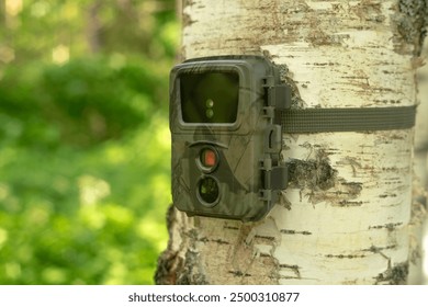 A protective-colored camera trap hangs on a tree.Hidden video surveillance. Mini camera trap for animal observation.