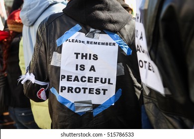 Protester's Sign 