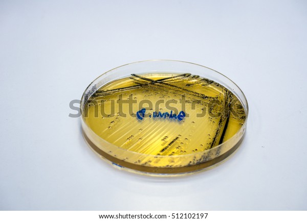 proteus for macc proteus for macc
