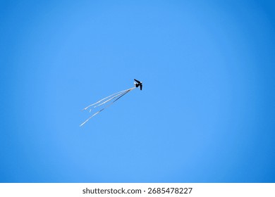 A prototype fiber-optic drone in the shape of a kite flies over Ukraine in 2012 on the opening day of the European Football Championship.It is a product of Ukrainian engineering and Dutch extravagance