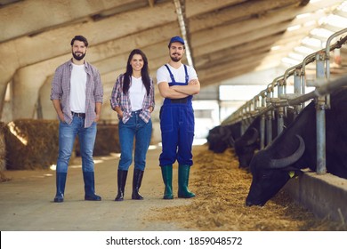 Proud farmer and happy farm workers at work. Portrait of smiling young people looking at camera standing in livestock barn with feeding black cows and buffalo. Animal husbandry and cattle farming jobs