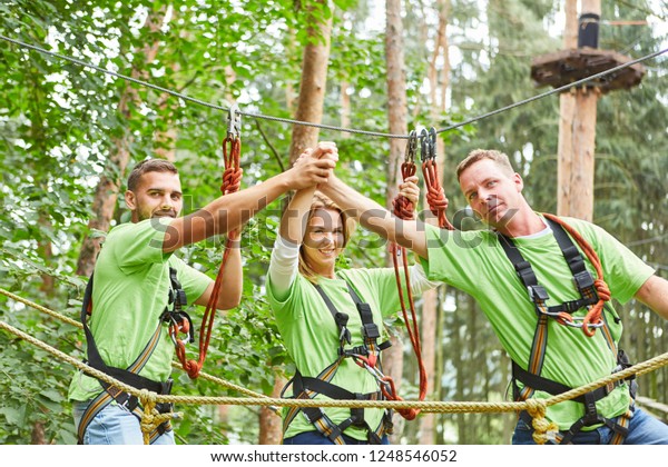 Proud team in the high ropes course\
congratulates for the successful\
cooperation