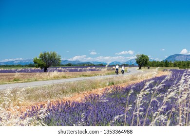 Provence By Bike