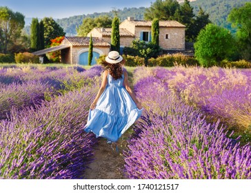 Provence, France. Beautiful view on blooming Lavender fields in Provence, France. National park Luberon. Lovely young Caucasian woman enjoying the lavender meadow walking to traditional French house.