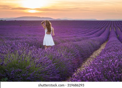 Provence, France. A Girl In White Dress Walking Trough Lavender Fields At Sunset.