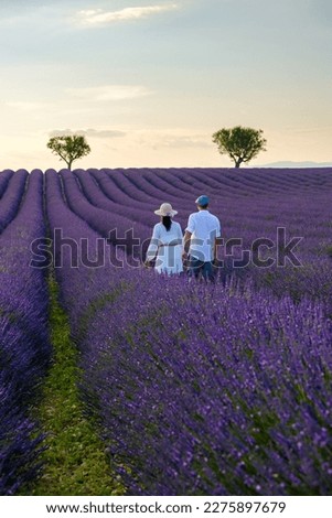 Provence, Lavender field France, Valensole Plateau, a colorful field of Lavender in bloom, Provence, Southern France Couple men and women on vacation at the Provence Southern France Stok fotoğraf © 
