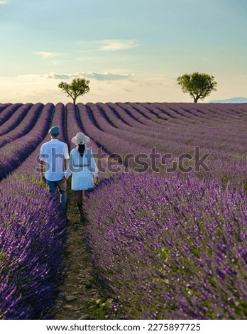 Provence, Lavender field France, Valensole Plateau, a colorful field of Lavender Valensole Plateau, Provence, Southern France Couple men and women on vacation Stok fotoğraf © 