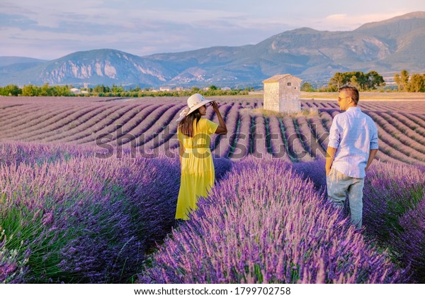 Provence, Lavender field France, Valensole\
Plateau, colorful field of Lavender Valensole Plateau, Provence,\
Southern France. Lavender field. Europe. Couple men and woman on\
vacation at the\
provence