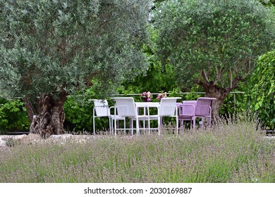 Provence Style Garden With Purple Chairs