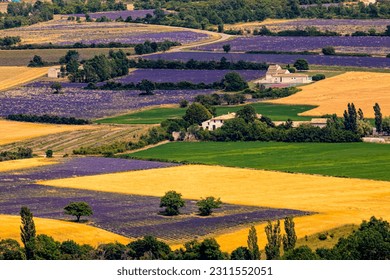 Provence,France,24.07.2021. Classic French Provencal landscape, cypresses, houses with tiled roofs immersed in greenery, vineyards and lavender fields - Shutterstock ID 2311552051
