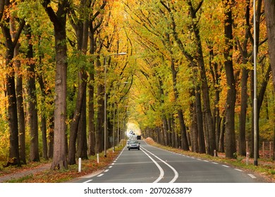 Provincial Road With Cars In Autumn.