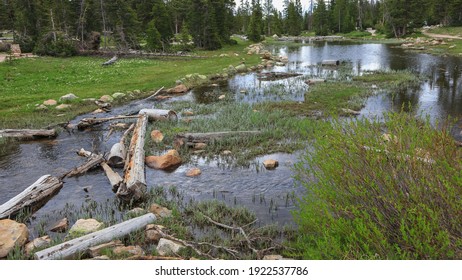 Provo River Landscape In Uinta Wasatch National Forest