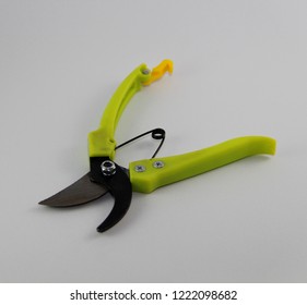 Pruner For Care Of Bushes