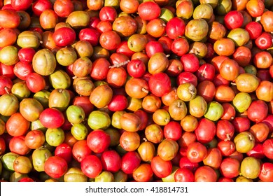 Prunes At A San Salvadorean Market, El Salvador