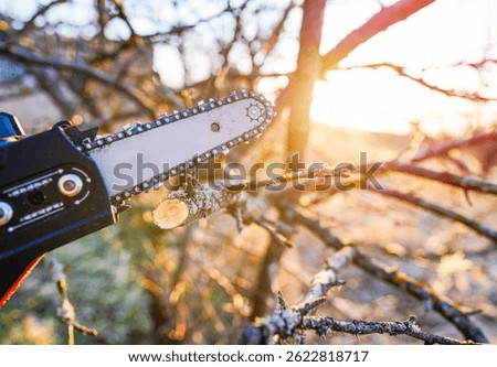 Pruning Chainsaw cut tree branches on sunset. Chainsaw Cordless for tree pruning. Cut branch use Pruning Saw. Mini Cordless Chainsaw. Electric Pruning Saw. Household Mini Handheld Electric Chain Saw.