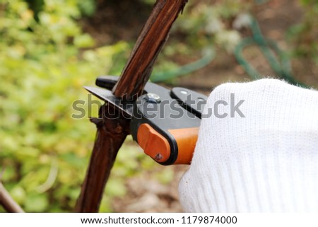 Similar – Attractive young woman with a rifle at the ready aims at her target and has her finger on the trigger