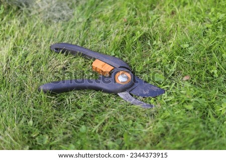 pruning shears on the grass, sharp, garden, prune, tool, shears