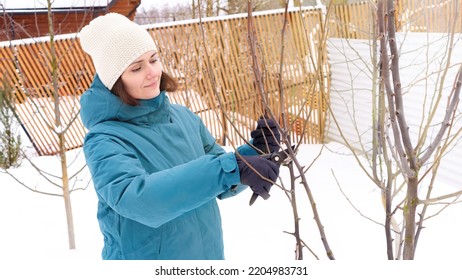 Pruning Tree Branches In The Orchard In Winter. A Woman In Gloves Cuts Unnecessary Branches From A Fruit Tree In The Cold Season. Garden Care In Winter Concept.