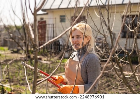 Pruning trees in autumn garden. Close-up of hands in yellow gloves and pruning shears trimming old branches.