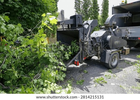 Pruning work with a tree chipper.