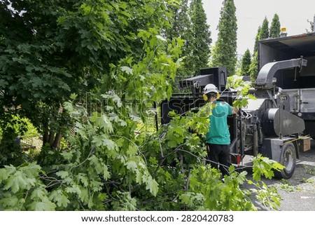 Pruning work with a tree chipper