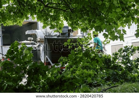 Pruning work with a tree chipper