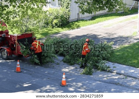 Pruning work with a tree chipper