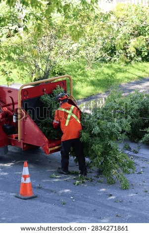 Pruning work with a tree chipper