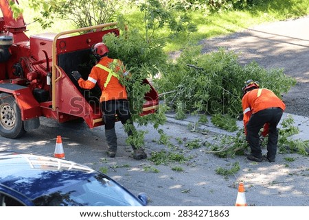 Pruning work with a tree chipper