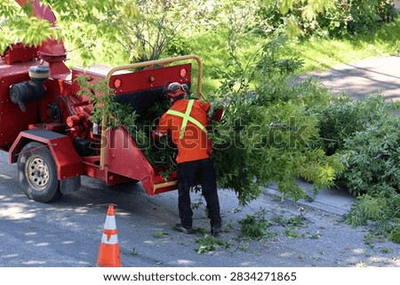 Pruning work with a tree chipper