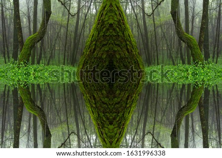 Psychedelic Rain Forest, Symmetrical Kaleidoscope Abstract Background.
