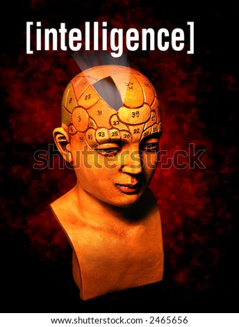 A psychology model highlighting the intelligence section of the brain