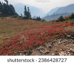 Ptarmigan Ridge hike in Washington