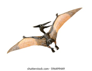 Pterosaur Dinosaur Toy On White Background Stock Photo 596499452 ...