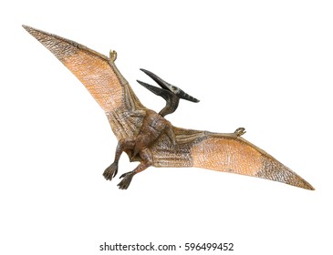 Pterosaur Dinosaur Toy On White Background Stock Photo 596499452 ...