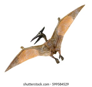 Pterosaur Dinosaur Toy On White Background Stock Photo 596499452 ...