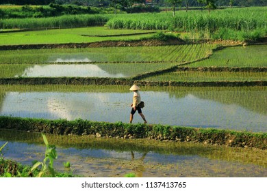 Pu Luong Nature Reserve (Thanh Hoa) 