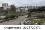 Public or agricultural garden in the middle of an urban area or in the city, with rusty chairs, old things, decorations, farms and old equipment, old wooden furniture and very ornate