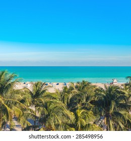  Public Beach Behind The Palm Trees In Miami Beach, Florida