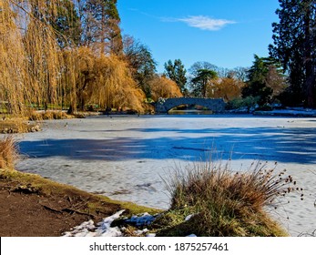 Public Beacon Hill Park In Victoria BC, Frozen Lake During Winter Cold Snap