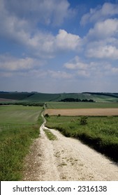 Public Bridleway Across Lambourn Downs Berkshire Uk