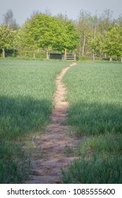 Public Foot Path 