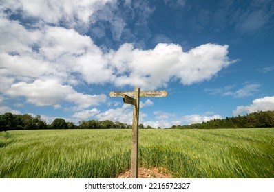 Public footpath sign in the middle of a green field