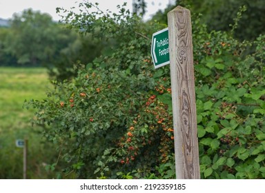 Public footpath sign on an English country walk. A wooden post supports a green and white sign stating To Public Footpath. Selective focus on the sign and rich colors give a very rural feel. 