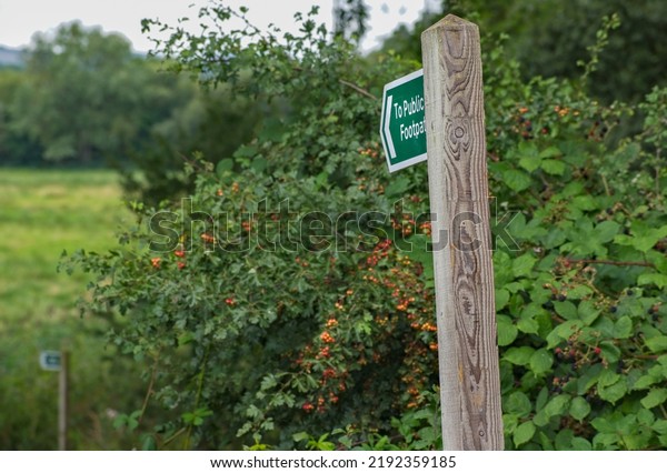 Public\
footpath sign on an English country walk. A wooden post supports a\
green and white sign stating To Public Footpath. Selective focus on\
the sign and rich colors give a very rural feel.\
