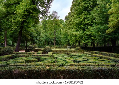 Public Garden With Hedges Making A Maze Of Trimmed Bushes.